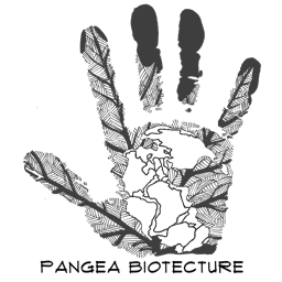 Pangea